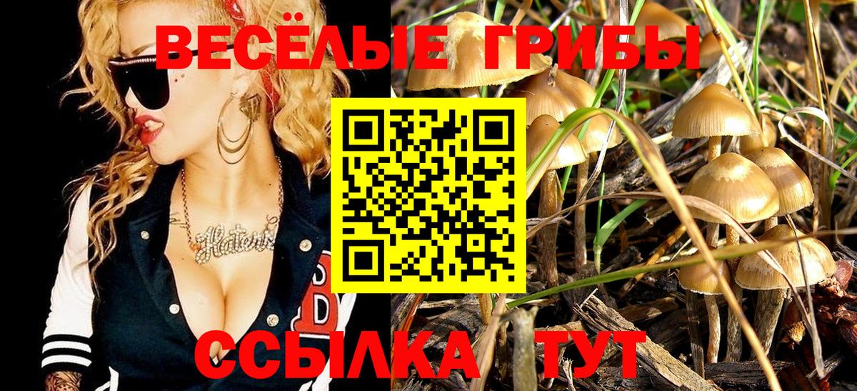 Гуково  Галлюциногенные грибы Psilocybe  Вход с VPN  Псилоцибиновые грибы MAGIC MUSHROOMS 